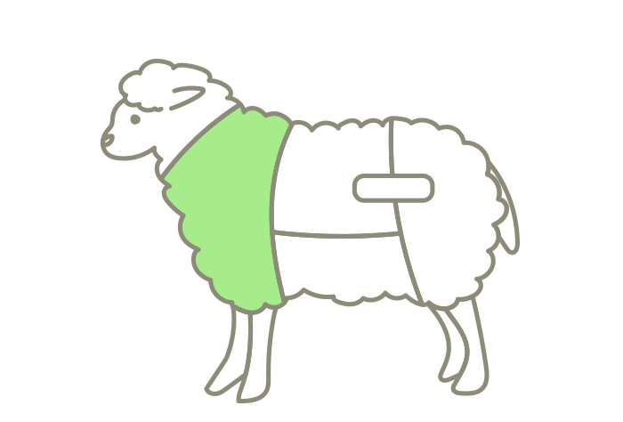 ラム肉の部位ショルダー（カタ）