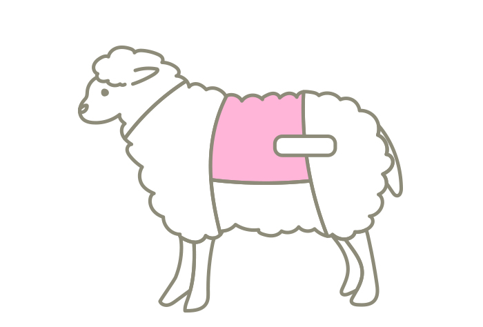 ラック （骨付リブロース）