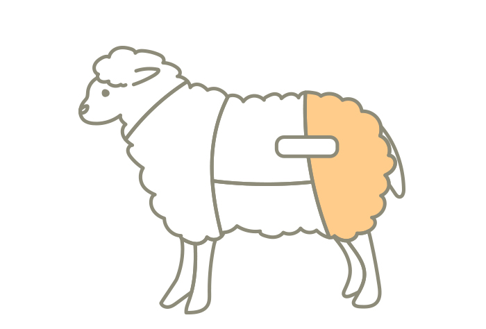 ラム肉の部位レッグ（モモ）