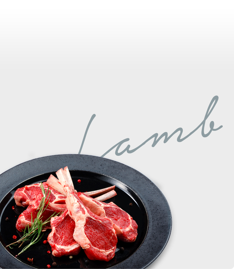 Lamb