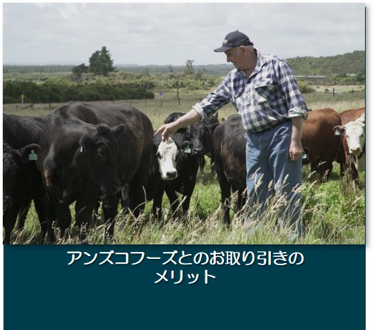 アンズコフーズとのお取り引きのメリット