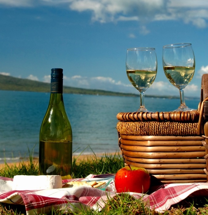 美味しさと環境を追求した、ニュージーランドワイン！ ～こだわりを知りよりその味わいを楽しみましょう～